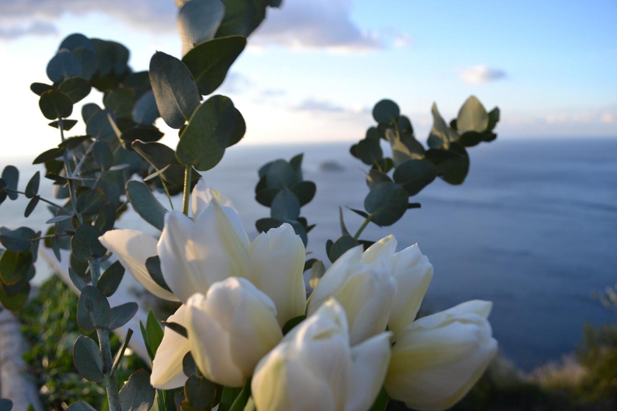 Casa La Bifora Positano Villa Екстериор снимка